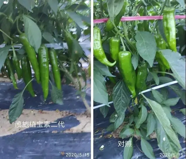 佛山市植寶生態(tài)科技有限公司