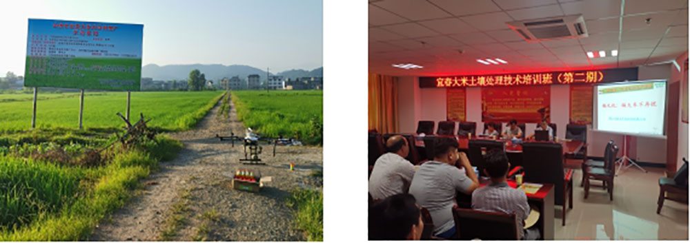 鎘無憂葉面阻控劑