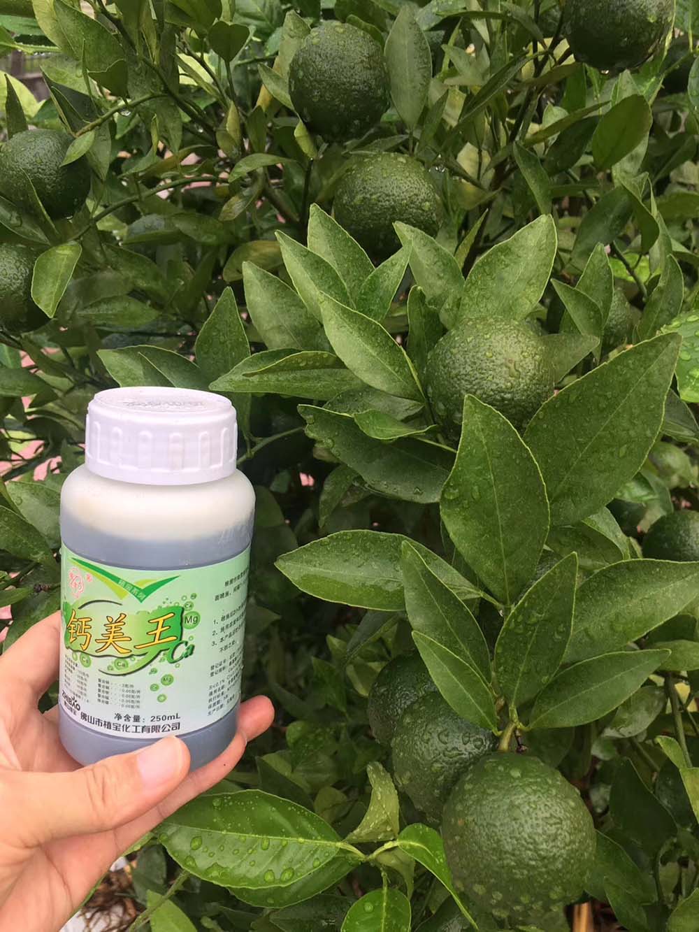 佛山市植寶生態(tài)科技有限公司