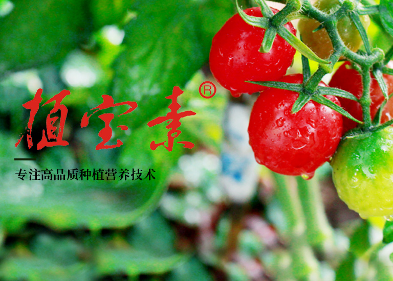 葉面阻控劑的作用 葉面阻控劑的作用