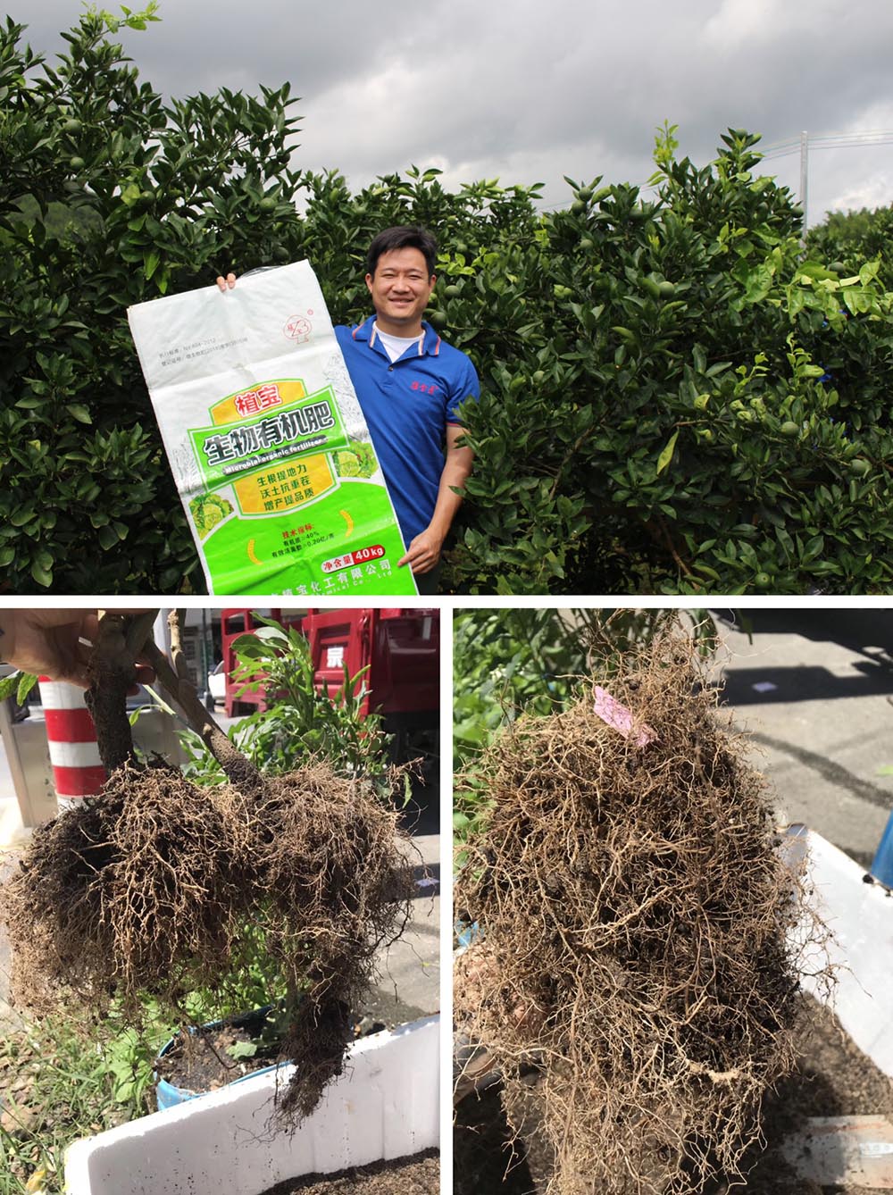 植寶生物有機(jī)肥