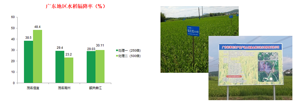 鎘無憂葉面阻控劑