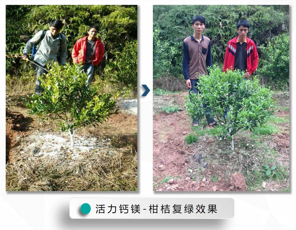 佛山市植寶生態(tài)科技有限公司