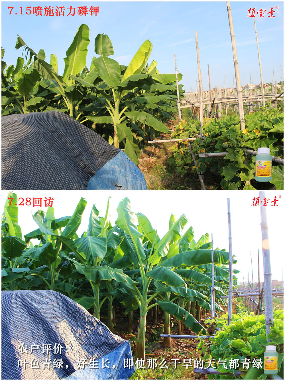 佛山市植寶生態(tài)科技有限公司